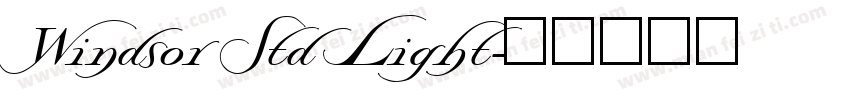 Windsor Std Light字体转换